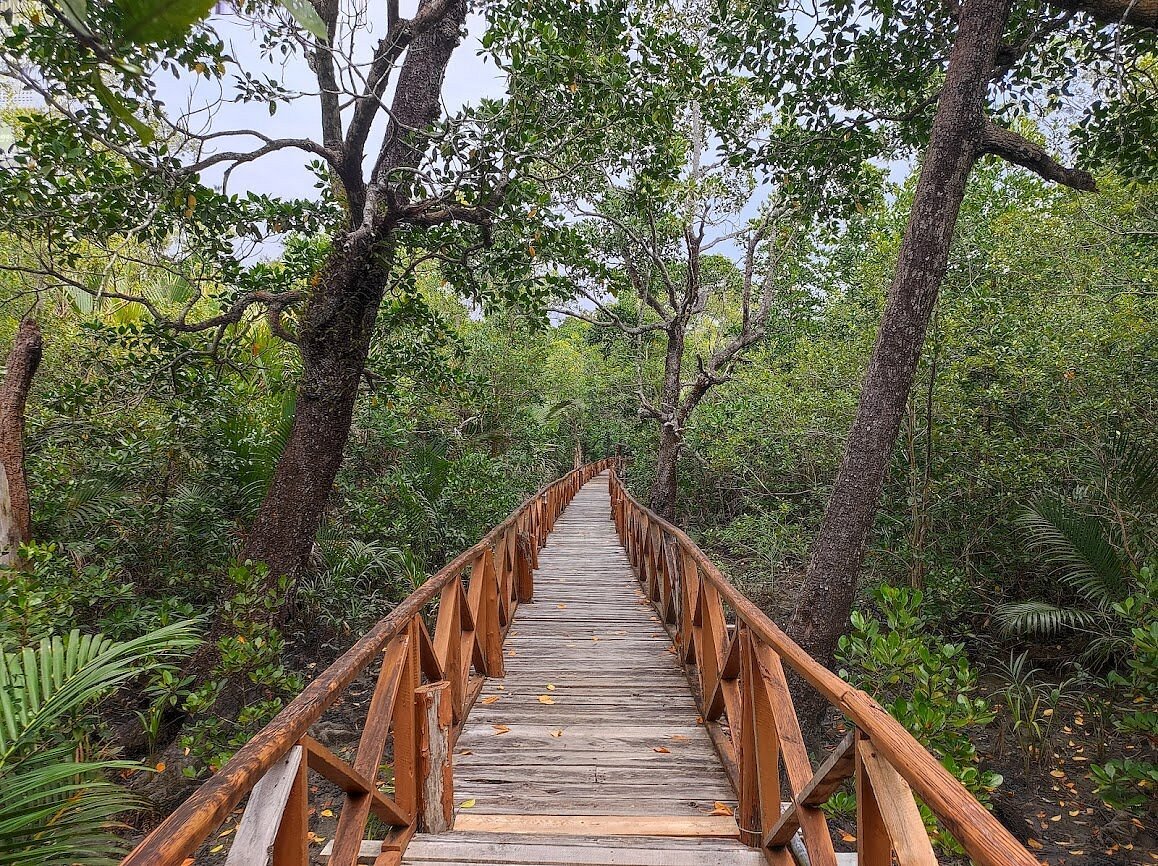 Dhaninallah Mangrove Walkway