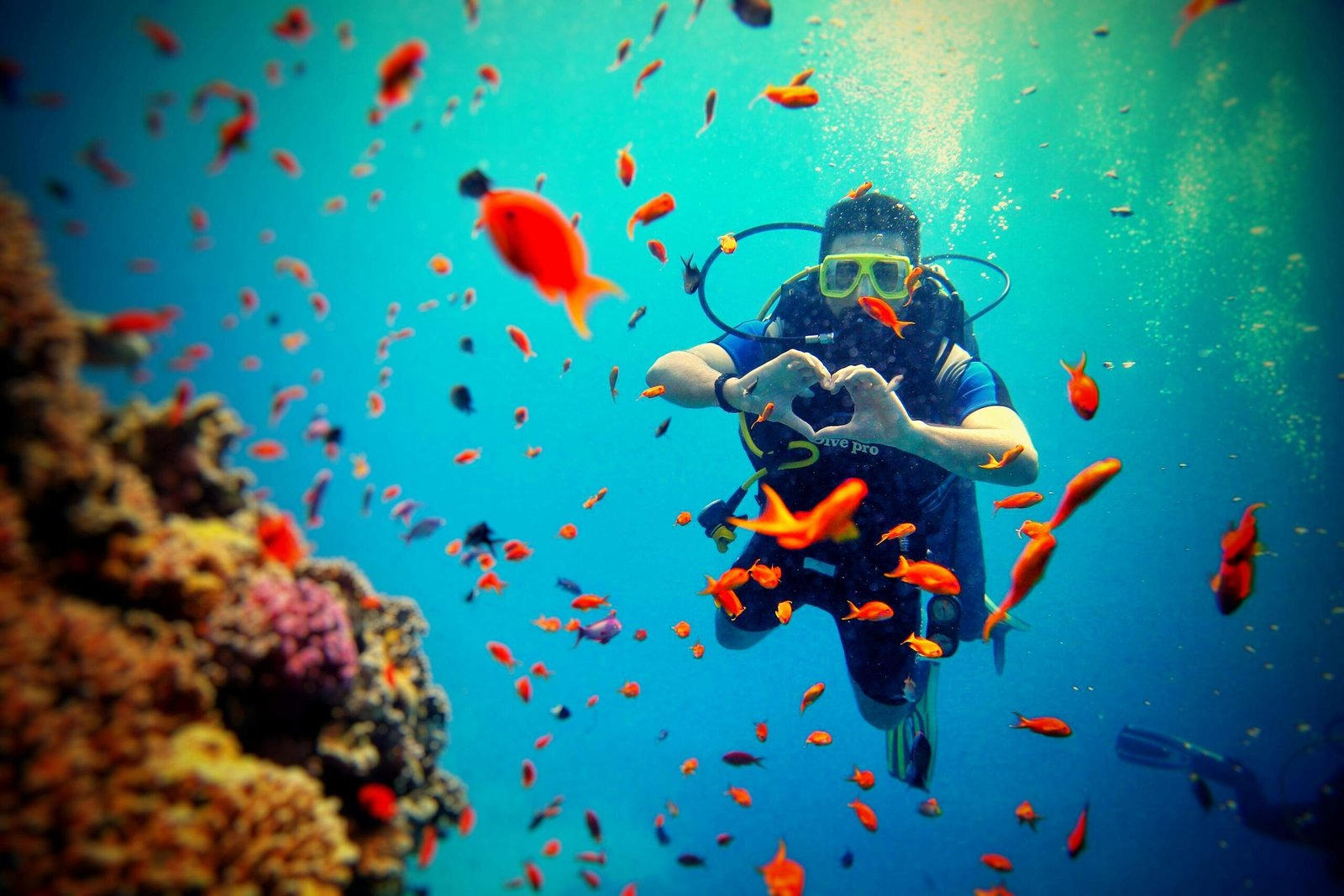 Scuba Diving Andaman