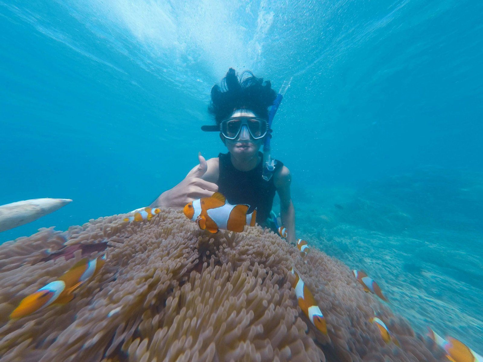 Snorkelling Andaman